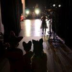 客席から舞台を見ている安城バレエの子どもたち